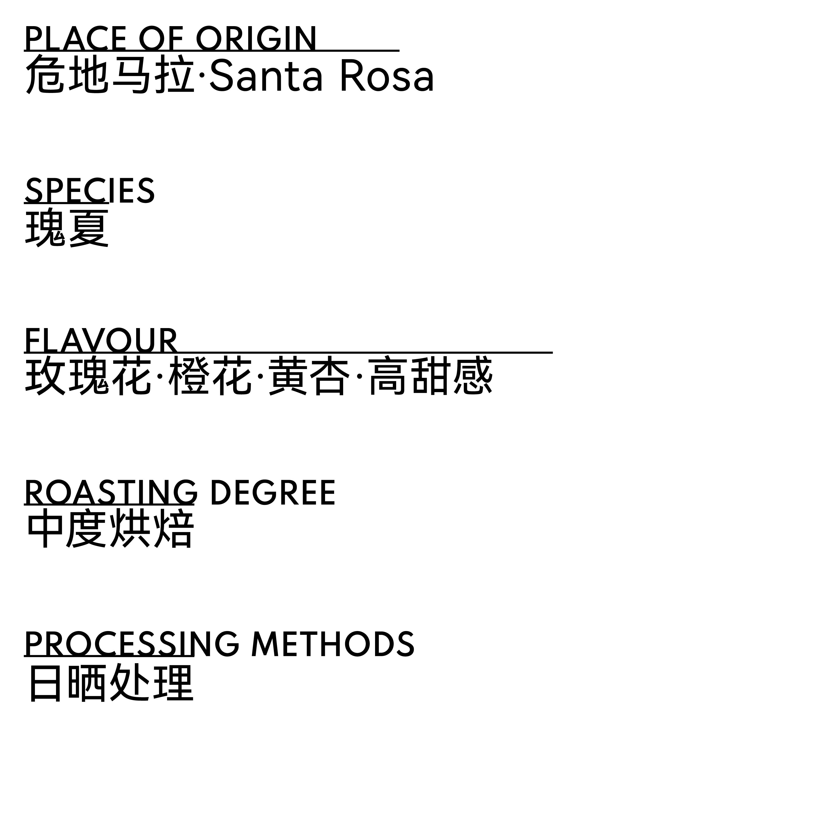 危地马拉 Santa Rosa 美景庄园 瑰夏 日晒处理 - 图片 2